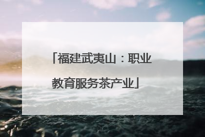 福建武夷山：职业教育服务茶产业