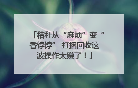 秸秆从“麻烦”变“香饽饽” 打捆回收这波操作太赚了！