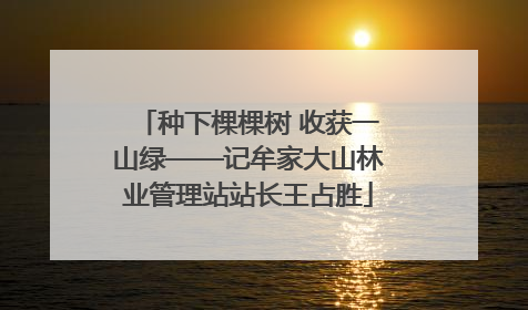 种下棵棵树 收获一山绿——记牟家大山林业管理站站长王占胜