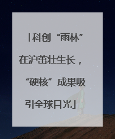 科创“雨林”在沪茁壮生长，“硬核”成果吸引全球目光