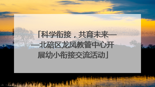科学衔接，共育未来——北碚区龙凤教管中心开展幼小衔接交流活动