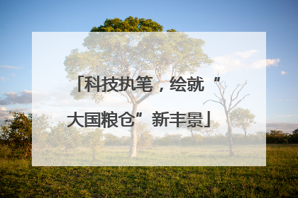 科技执笔，绘就“大国粮仓”新丰景