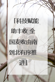 科技赋能助丰收 全国麦收由南到北有序推进