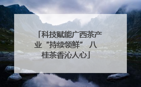 科技赋能广西茶产业“持续领鲜” 八桂茶香沁人心
