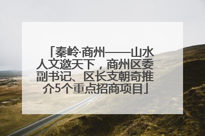 秦岭·商州——山水人文邀天下，商州区委副书记、区长支朝奇推介5个重点招商项目