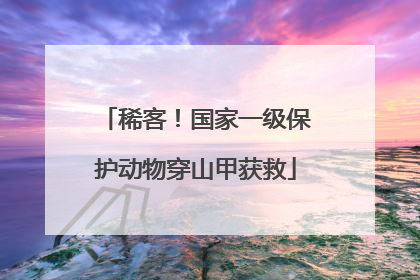 稀客！国家一级保护动物穿山甲获救