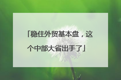 稳住外贸基本盘，这个中部大省出手了