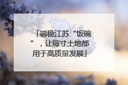 端稳江苏“饭碗”，让每寸土地都用于高质量发展