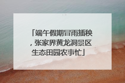 端午假期冒雨插秧，张家界黄龙洞景区生态田园农事忙