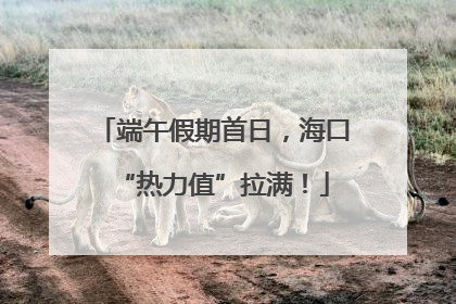 端午假期首日，海口“热力值”拉满！
