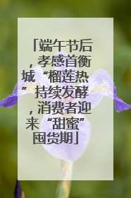 端午节后，孝感首衡城“榴莲热”持续发酵，消费者迎来“甜蜜”囤货期