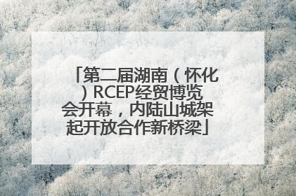 第二届湖南（怀化）RCEP经贸博览会开幕，内陆山城架起开放合作新桥梁