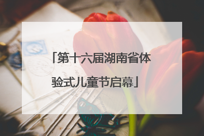 第十六届湖南省体验式儿童节启幕