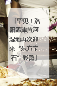罕见！洛阳孟津黄河湿地再次迎来“东方宝石”彩鹮
