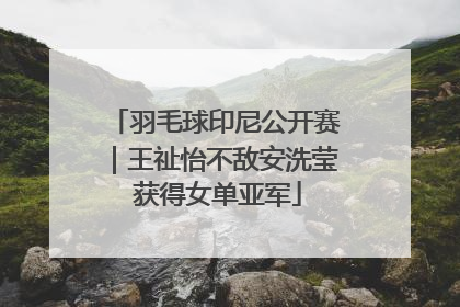 羽毛球印尼公开赛｜王祉怡不敌安洗莹 获得女单亚军
