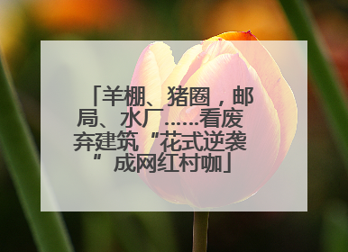 羊棚、猪圈，邮局、水厂……看废弃建筑“花式逆袭”成网红村咖