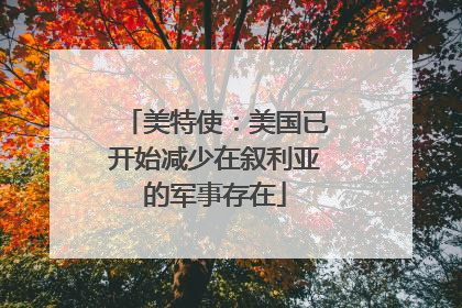 美特使：美国已开始减少在叙利亚的军事存在