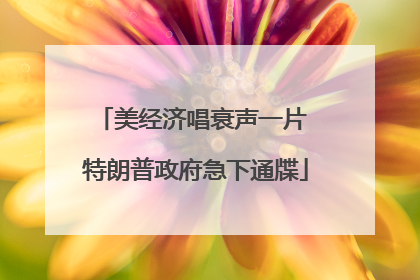 美经济唱衰声一片 特朗普政府急下通牒