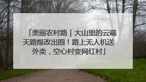 美丽农村路｜大山里的云端天路爆改出圈！路上无人机送外卖，空心村变网红村