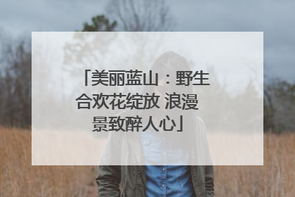 美丽蓝山：野生合欢花绽放 浪漫景致醉人心