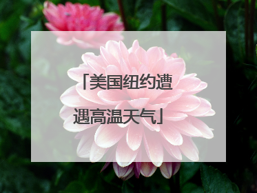 美国纽约遭遇高温天气