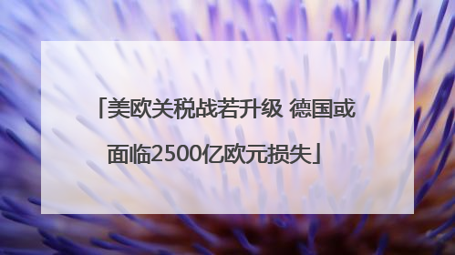 美欧关税战若升级 德国或面临2500亿欧元损失