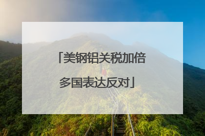 美钢铝关税加倍 多国表达反对