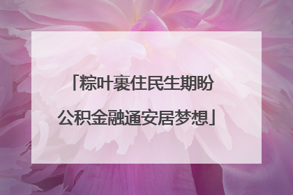 粽叶裹住民生期盼 公积金融通安居梦想