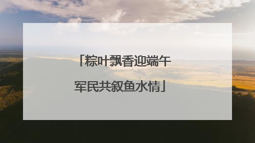 粽叶飘香迎端午 军民共叙鱼水情