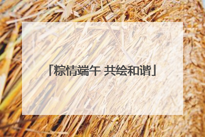 粽情端午 共绘和谐
