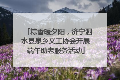 粽香暖夕阳，济宁泗水县泉乡义工协会开展端午助老服务活动
