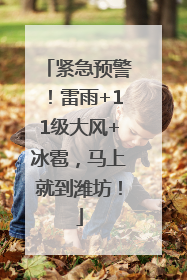 紧急预警！雷雨+11级大风+冰雹，马上就到潍坊！