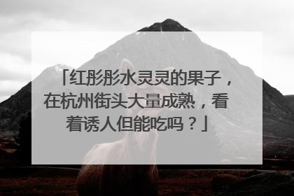 红彤彤水灵灵的果子，在杭州街头大量成熟，看着诱人但能吃吗？