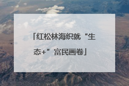 红松林海织就“生态+”富民画卷
