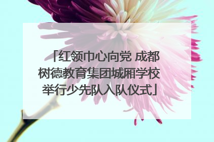 红领巾心向党 成都树德教育集团城厢学校举行少先队入队仪式