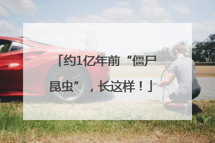 约1亿年前“僵尸昆虫”，长这样！