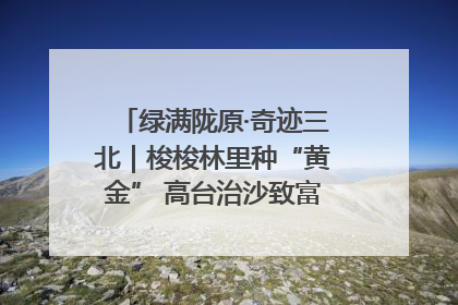 绿满陇原·奇迹三北｜梭梭林里种“黄金” 高台治沙致富很“从容”