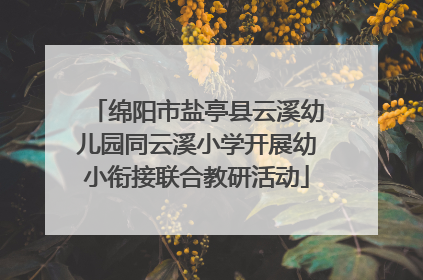 绵阳市盐亭县云溪幼儿园同云溪小学开展幼小衔接联合教研活动