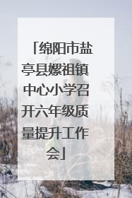 绵阳市盐亭县嫘祖镇中心小学召开六年级质量提升工作会