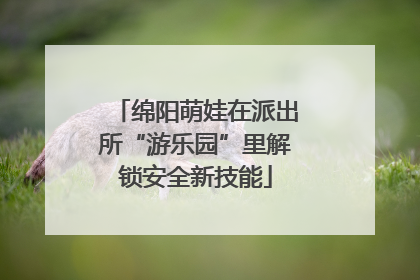 绵阳萌娃在派出所“游乐园”里解锁安全新技能