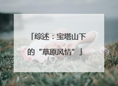 综述：宝塔山下的“草原风情”