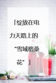 绽放在电力天路上的“雪域格桑花”
