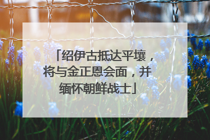 绍伊古抵达平壤，将与金正恩会面，并缅怀朝鲜战士