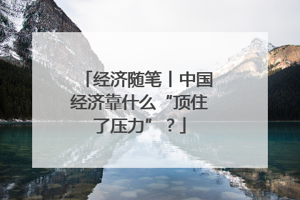 经济随笔丨中国经济靠什么“顶住了压力”？