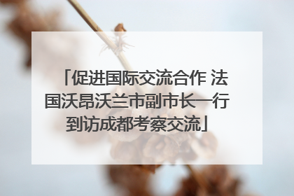 促进国际交流合作 法国沃昂沃兰市副市长一行到访成都考察交流