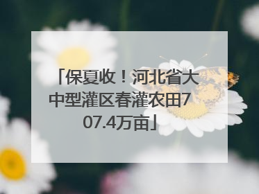 保夏收！河北省大中型灌区春灌农田707.4万亩