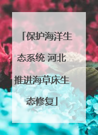 保护海洋生态系统 河北推进海草床生态修复