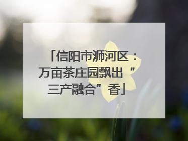 信阳市浉河区：万亩茶庄园飘出“三产融合”香