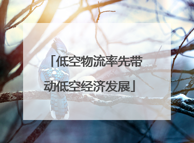 低空物流率先带动低空经济发展