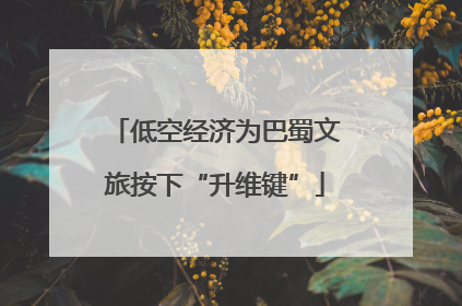 低空经济为巴蜀文旅按下“升维键”